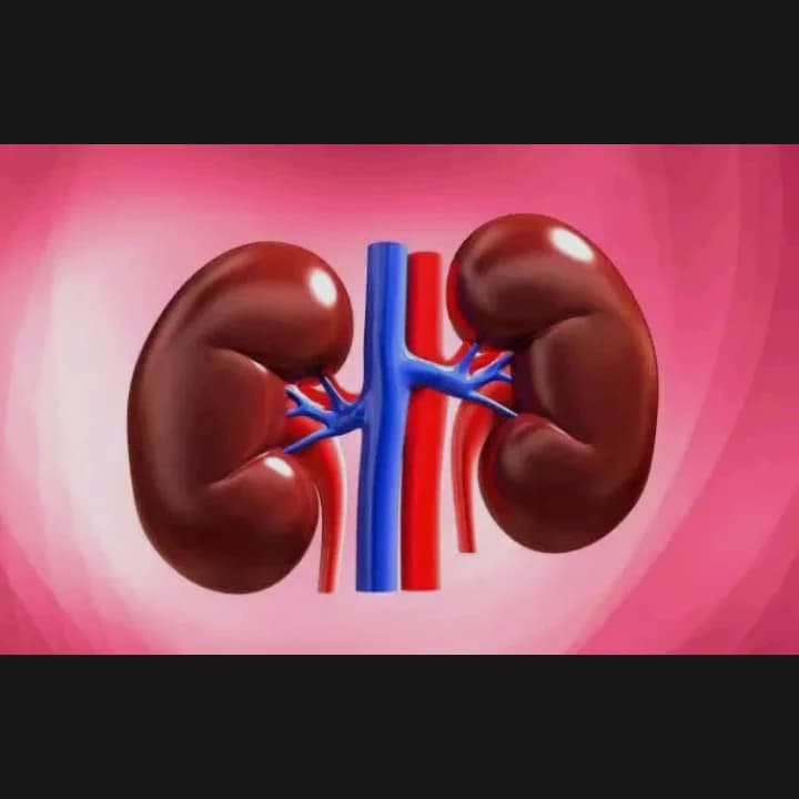 IF YOUR KIDNEYS ARE IN DANGER THIS ARE THE SINGN YOU SHOULD NOT IGNORE...see more