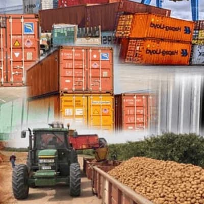 How to Export Agricultural Products from Nigeria to Other Countries