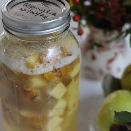 What Is Tepache? Health Benefits, Recipe, and How to Make It at Home