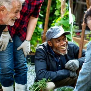 Why Group Farming Is More Productive Than One Man Farming: Lessons From The Field.