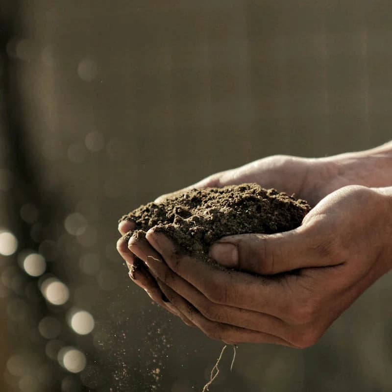The Smart Way to Invest in Agricultural Land