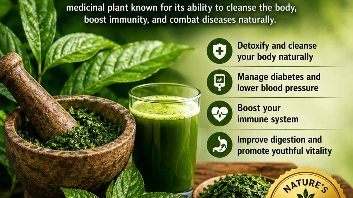 Health benefits of bitter leaf