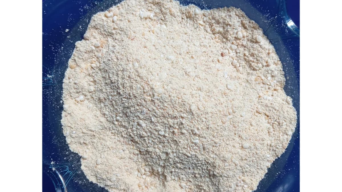 🥣 DAY 5: WE'VE GOT ALL OUR INGREDIENTS… NOW LET'S TURN THEM INTO TOMBROWN!
