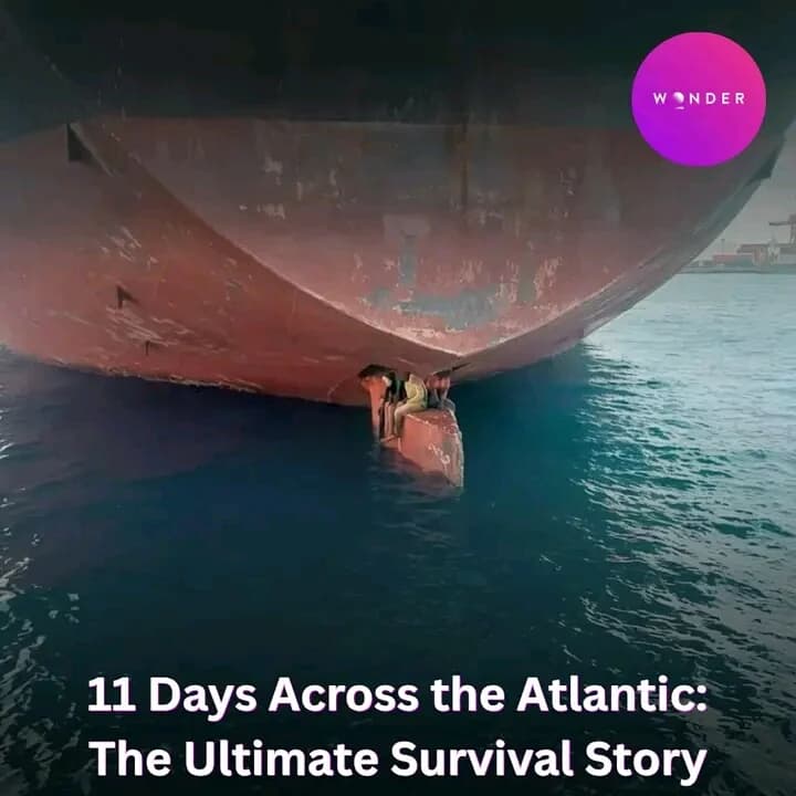 The wonders of the seas