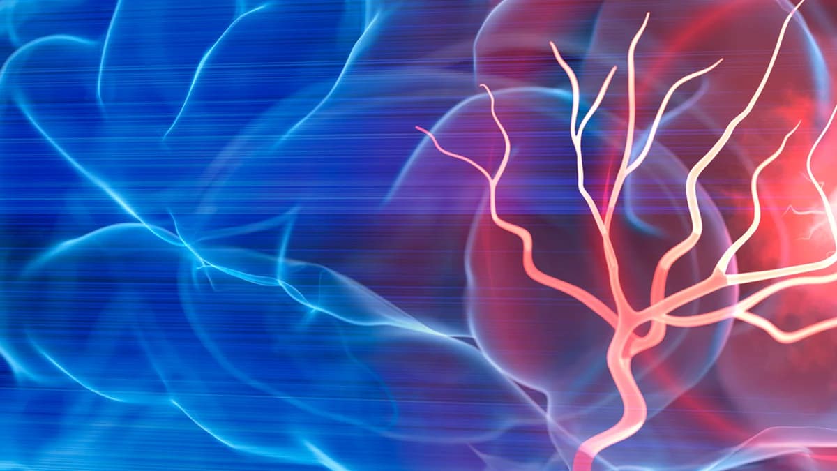 Could This New Biomaterial Help the Brain Repair Itself After a Stroke?