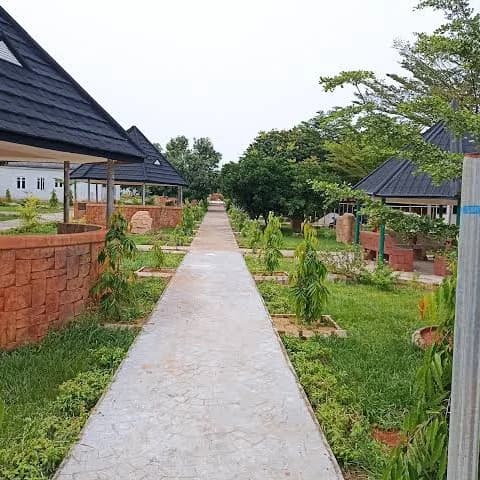 Under 20k fun activities to do in Benin city