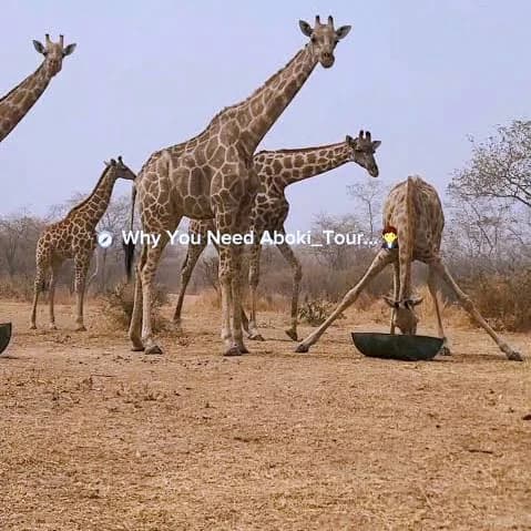 Beautiful Tourist Attractions in Nigeria You Should Visit at Least Once