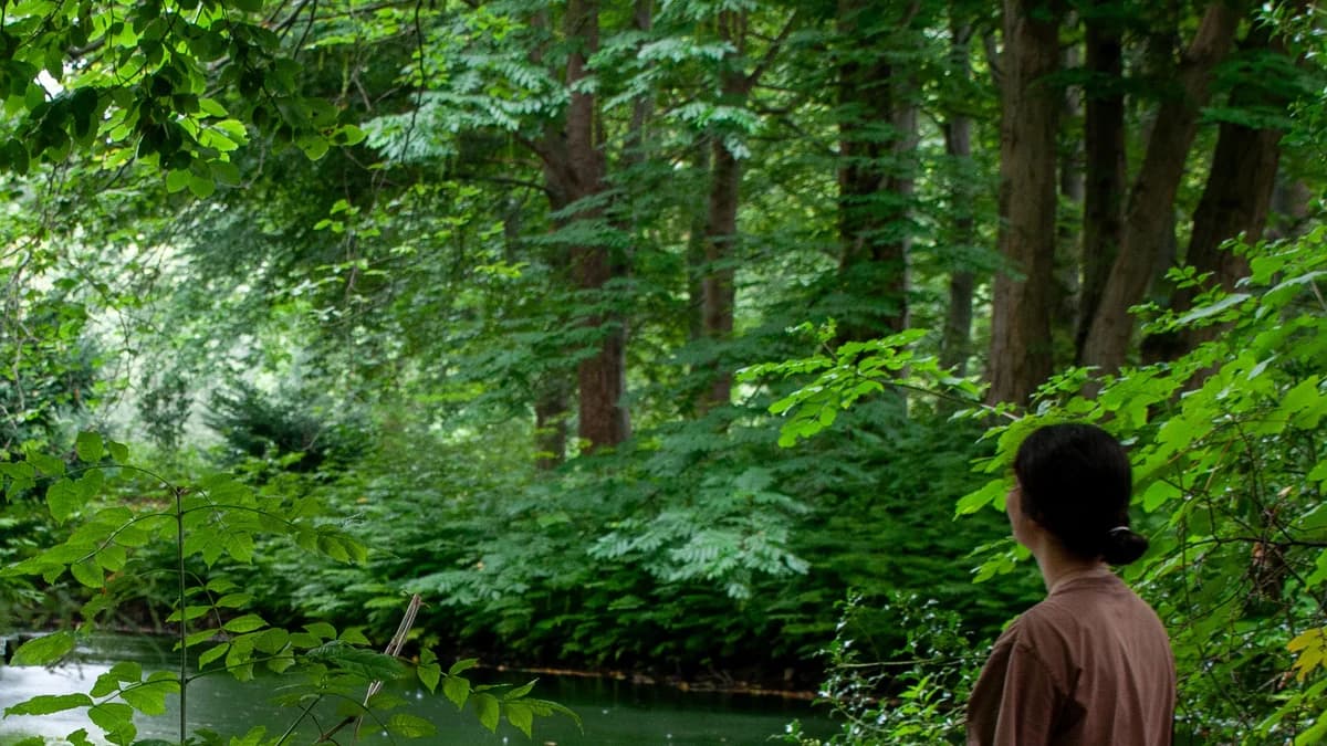 The Restorative Power of Nature