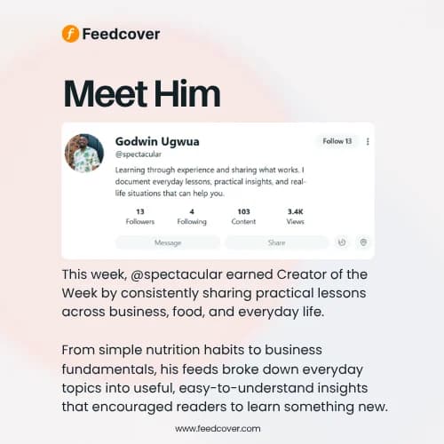Meet The Creator Of The Week 👑