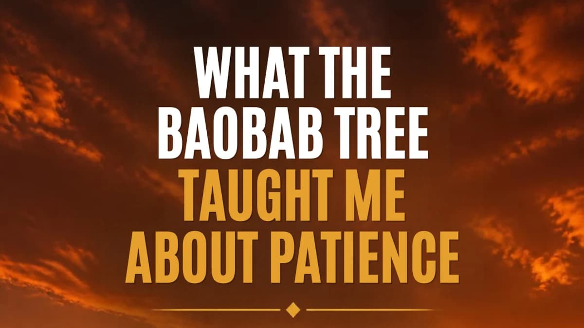 🌳 What the Baobab Tree Taught Me About Patience