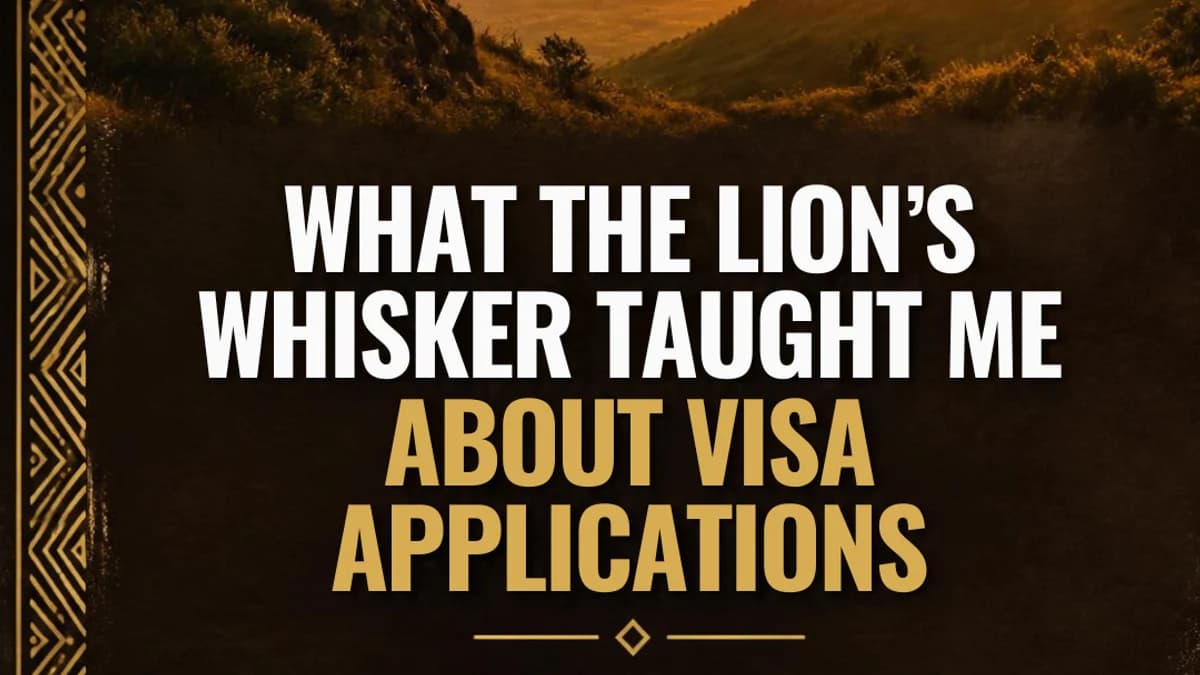 What The Lion's Whisker Taught Me About Visa Applications