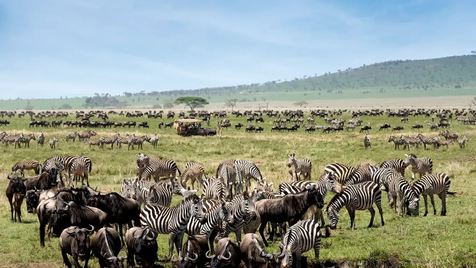 If I Had the Money, I'd Travel to These African Wonders in 2026