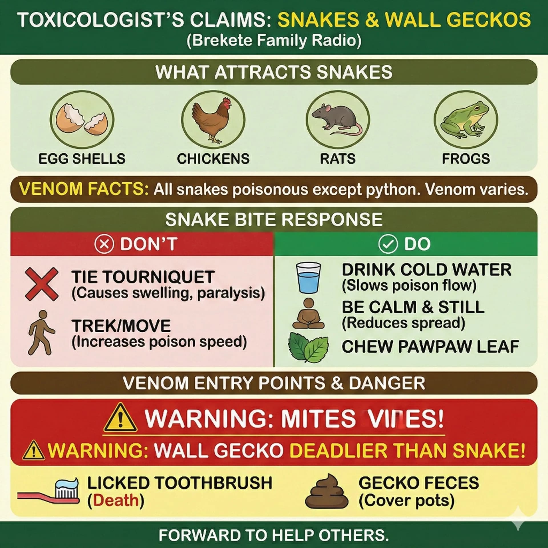Wall Gecko Spit Can K!ll... A Must Read