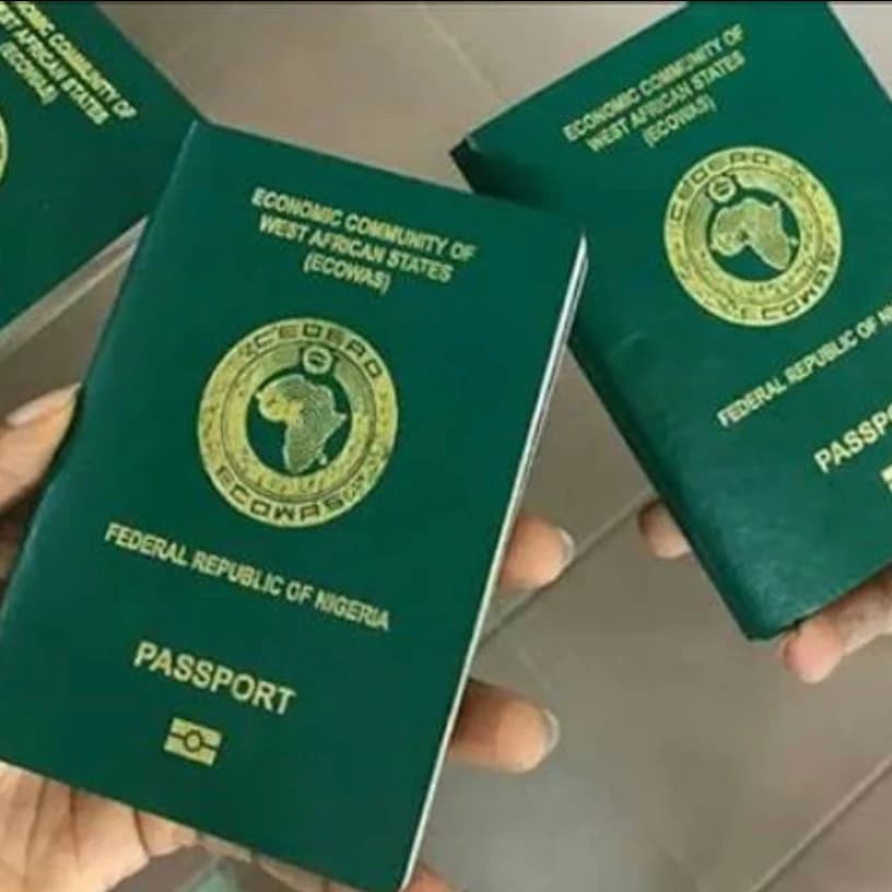 How to Renew Your Nigerian Passport in Lagos (2026): Steps, Costs, and What to Expect.