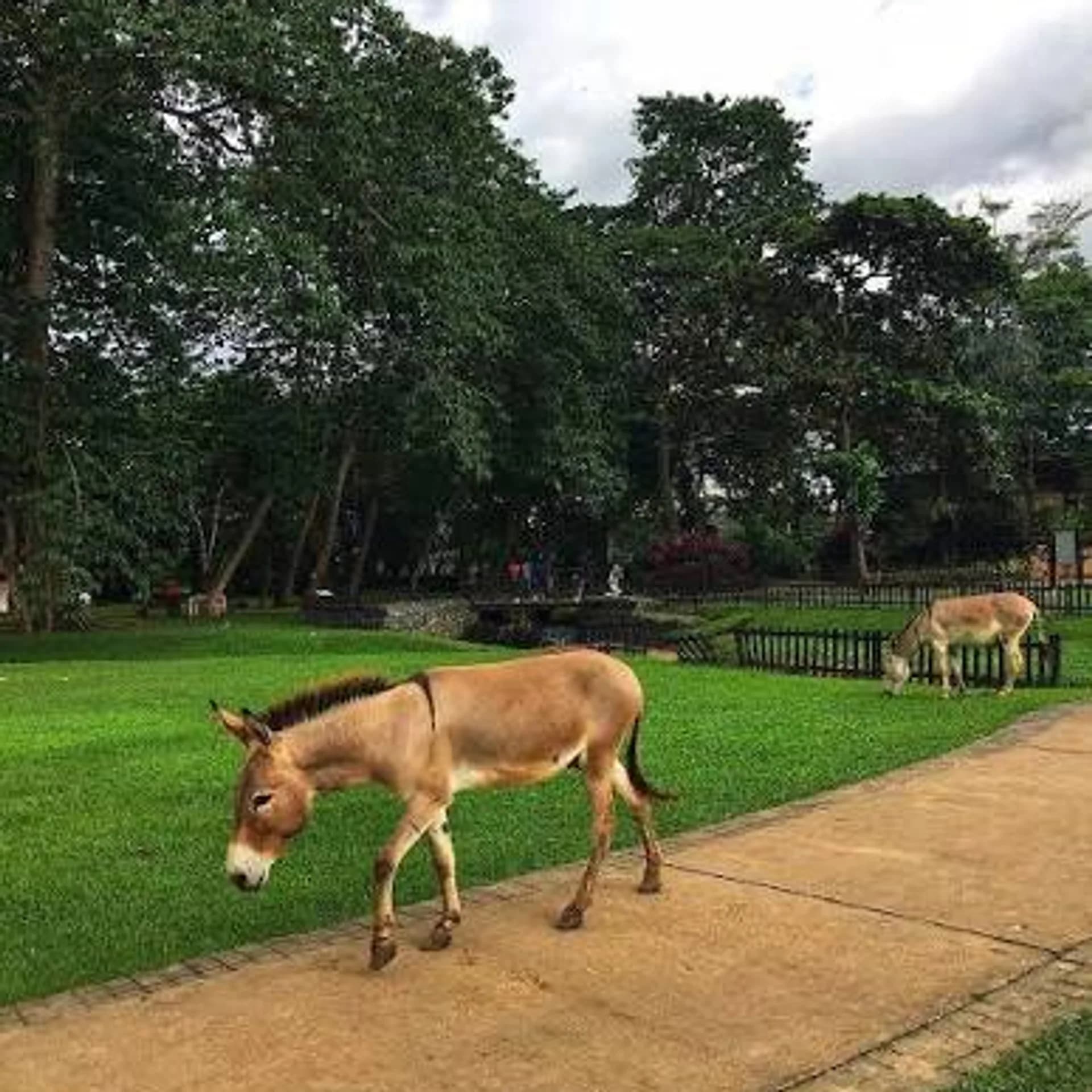 Fun Things to Do in Ibadan as an Adult