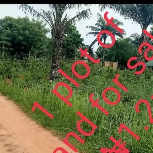 Where to Buy Affordable Land in Abakaliki/Ebonyi