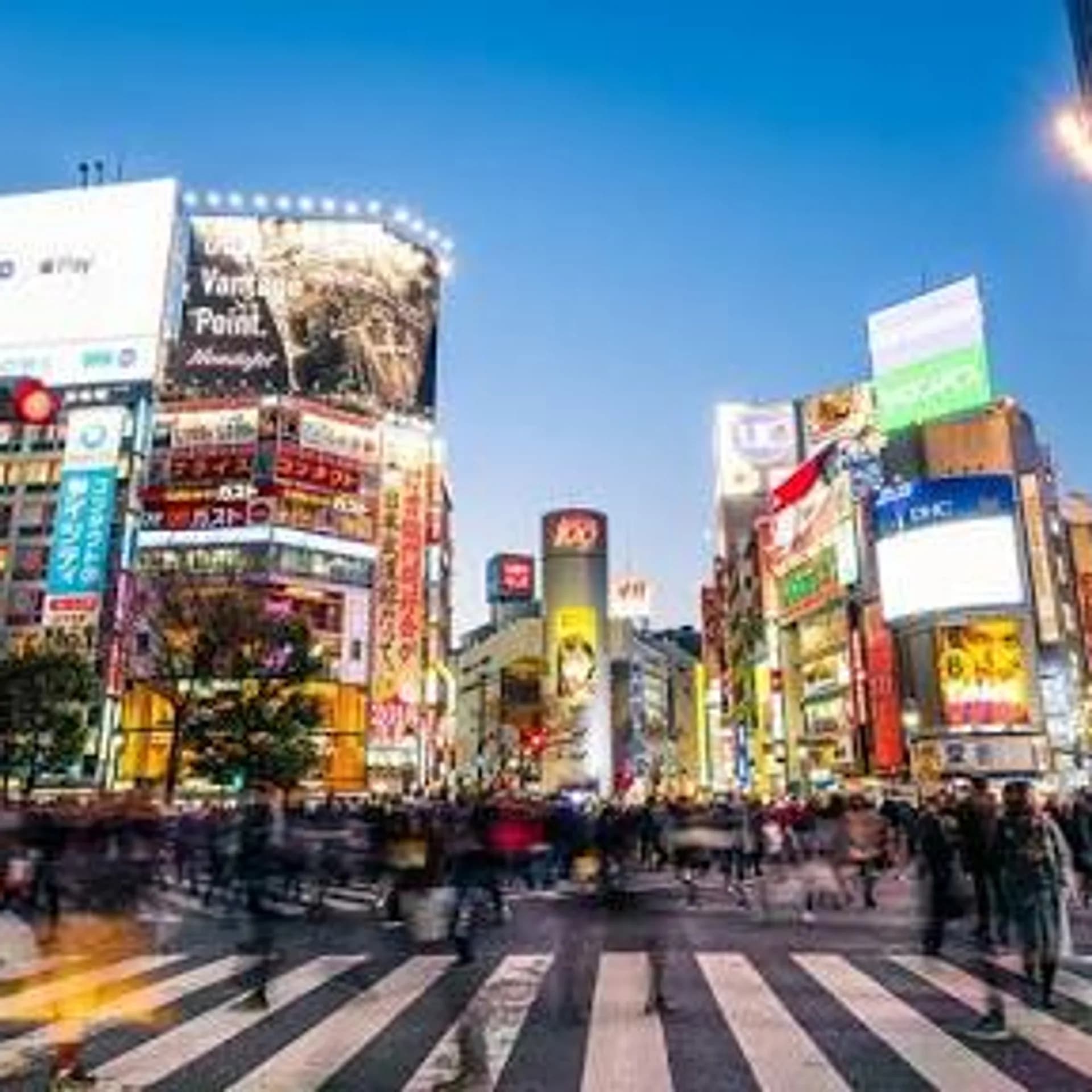 Why everyone loves Japan 🇯🇵