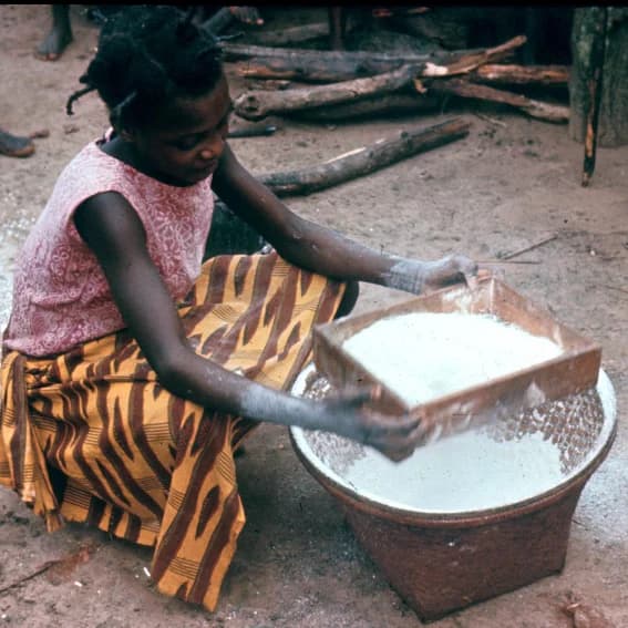 How Biscuits Are Made from Cassava š¾šŖ