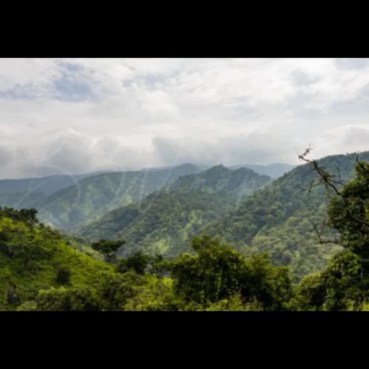 This is Taraba State, Where Nature Meets Beauty 😍😍😍😍😍😍😍😍😍😍😍.