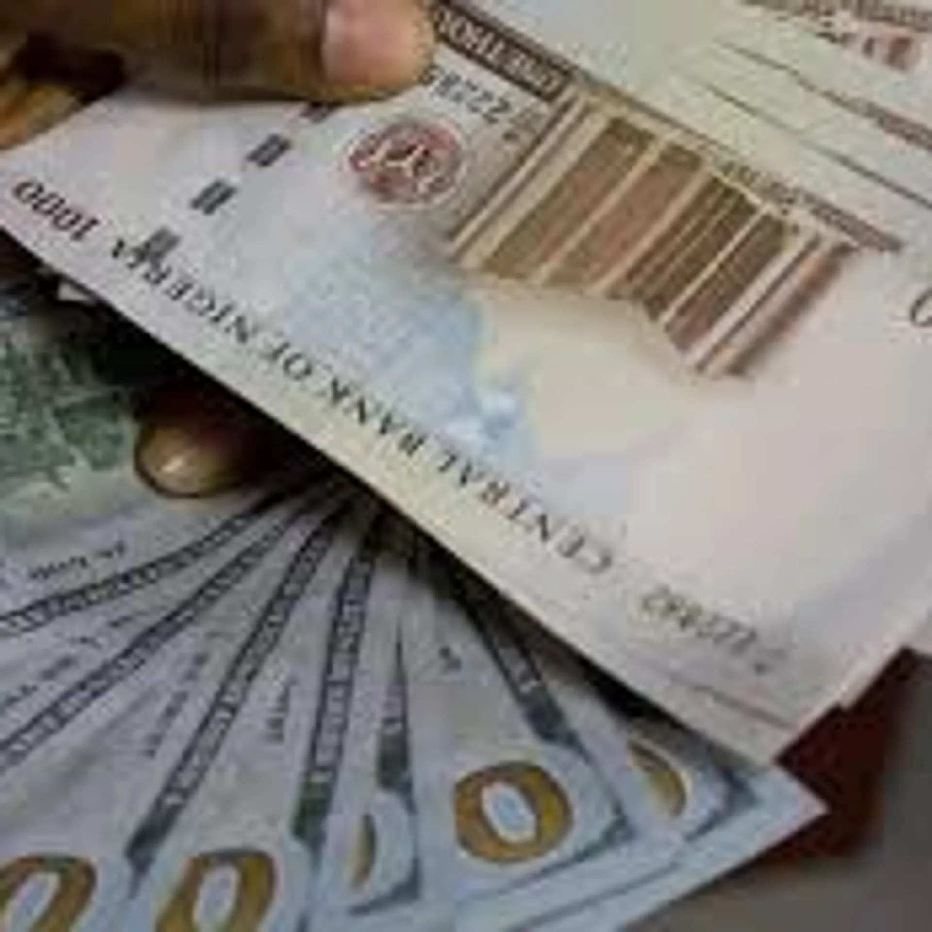 Naira Falls to ₦1,423/$ at Official Market, ₦1,490/$ at Black Market